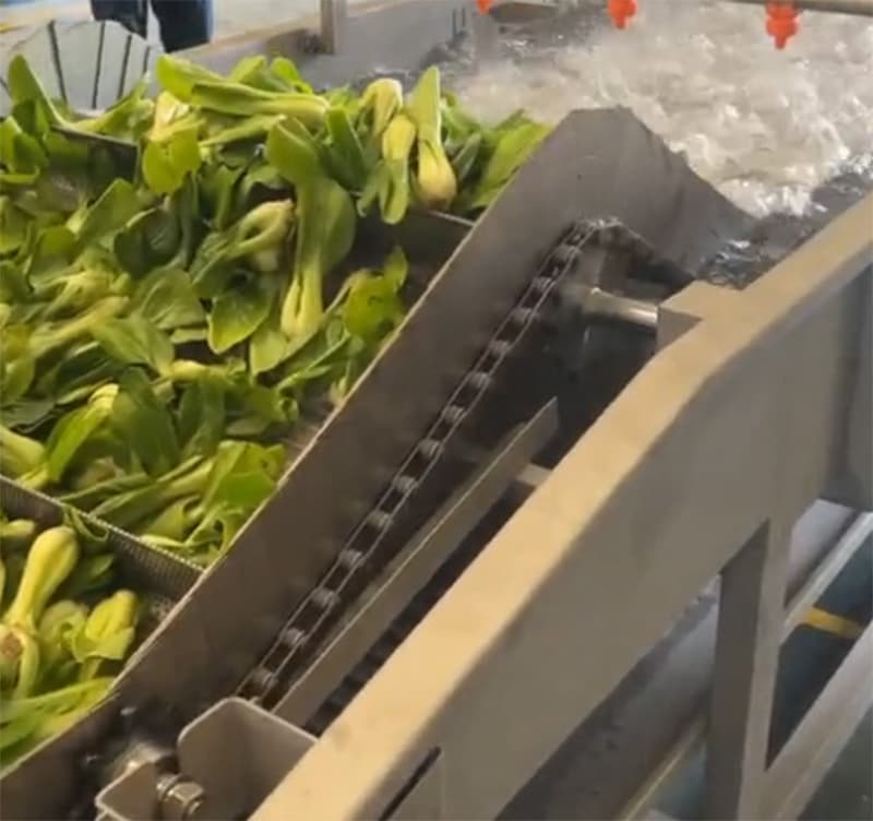 images/1752828066389Washing and drying green leafy vegetables.jpg